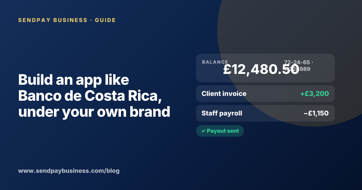 A founder planning a digital account app with a branded card like Banco de Costa Rica