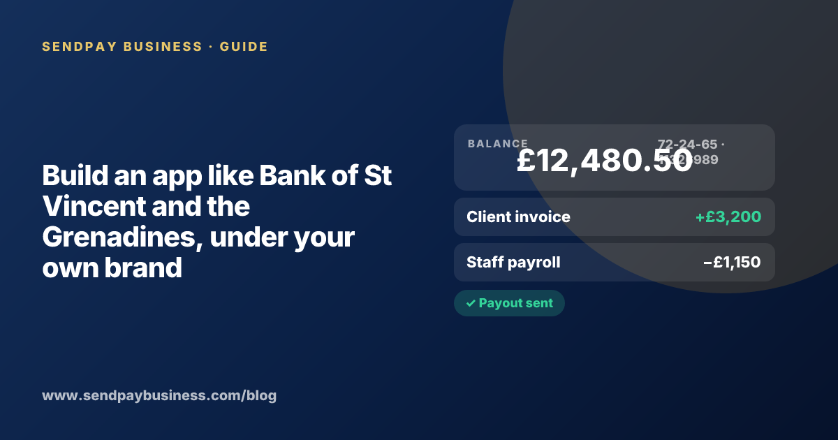 A founder planning a digital account app with a branded card like Bank of St Vincent and the Grenadines