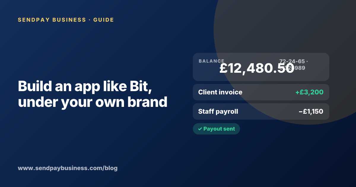 A founder planning a mobile money wallet like Bit