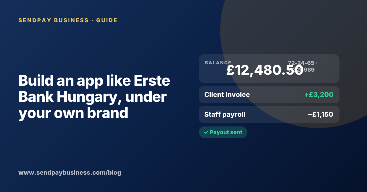A founder planning a digital account app with a branded card like Erste Bank Hungary