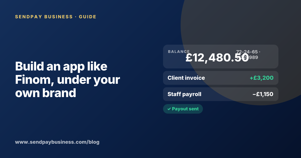 A founder planning a payment platform for businesses like Finom
