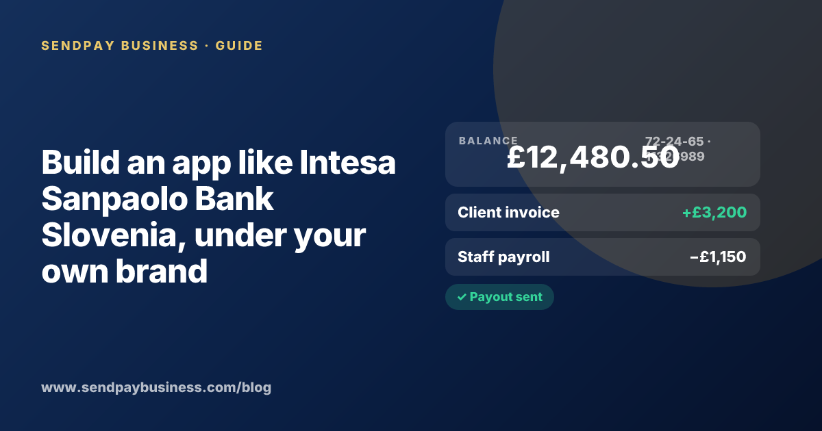 A founder planning a digital account app with a branded card like Intesa Sanpaolo Bank Slovenia