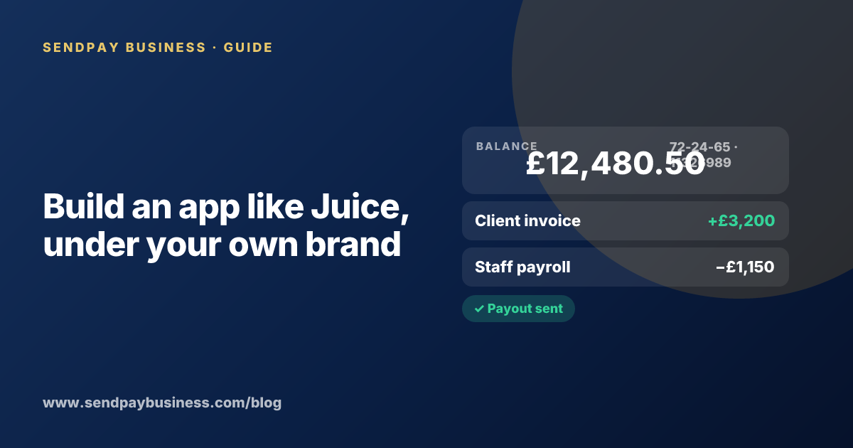 A founder planning a mobile money wallet like Juice