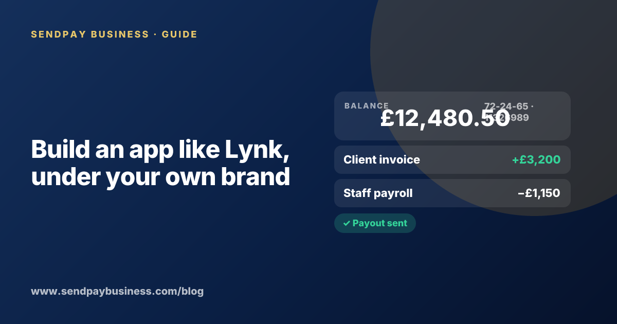 A founder planning a mobile money wallet like Lynk