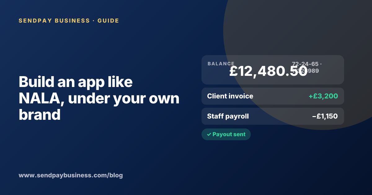 A founder planning a money transfer app like NALA
