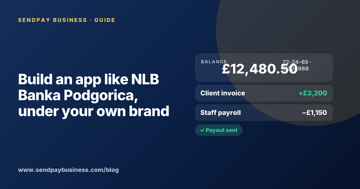 A founder planning a digital account app with a branded card like NLB Banka Podgorica