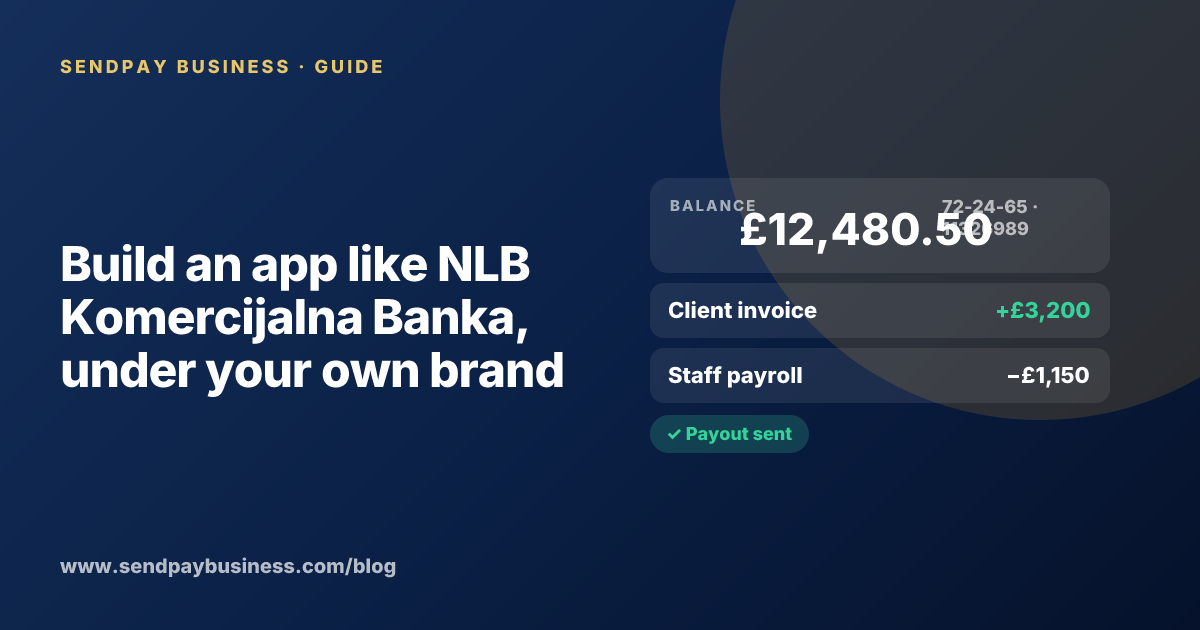 A founder planning a digital account app with a branded card like NLB Komercijalna Banka