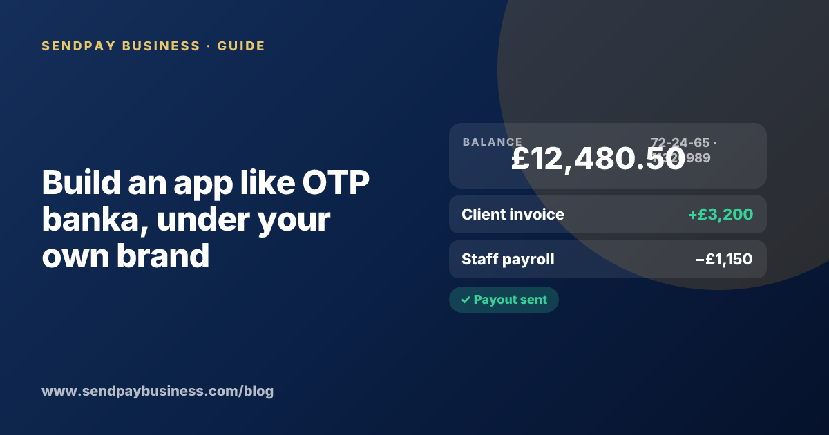 A founder planning a digital account app with a branded card like OTP banka