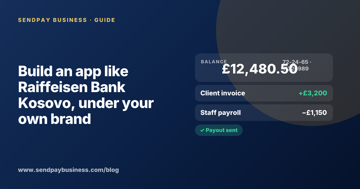 A founder planning a digital account app with a branded card like Raiffeisen Bank Kosovo