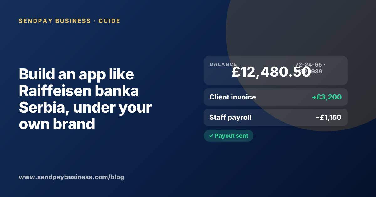 A founder planning a digital account app with a branded card like Raiffeisen banka Serbia