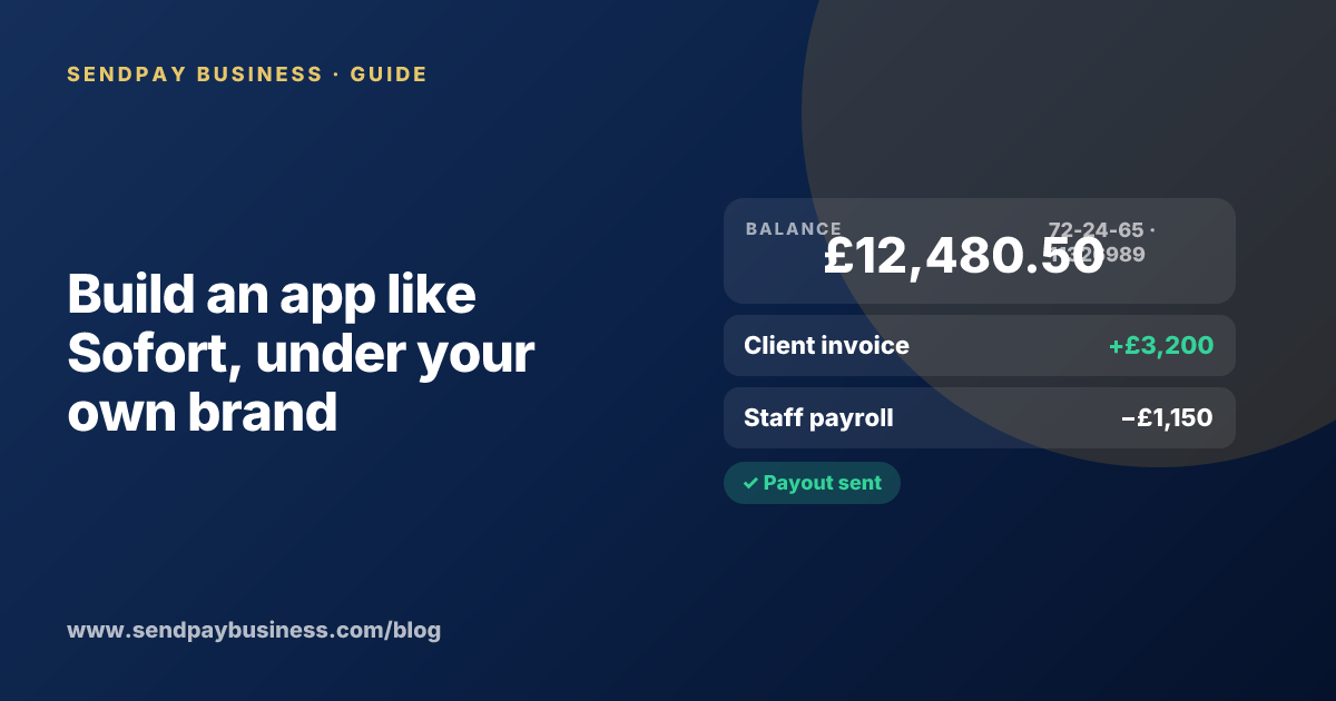 A founder planning a payment platform for businesses like Sofort