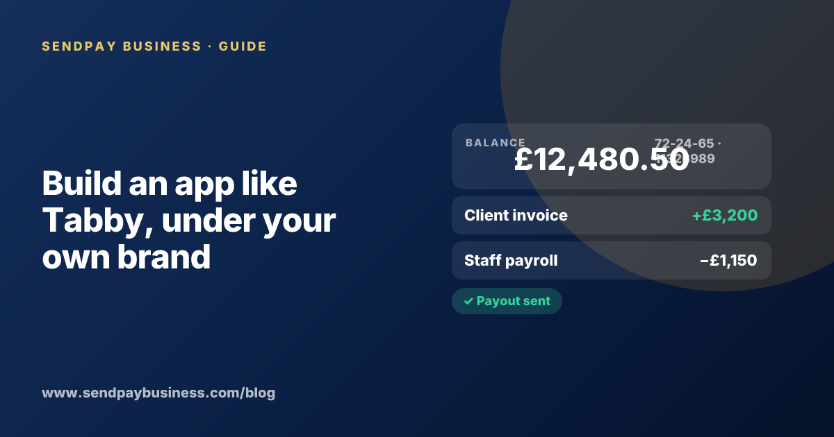 A founder planning a payment platform for businesses like Tabby