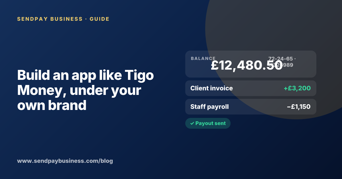 A founder planning a mobile money wallet like Tigo Money