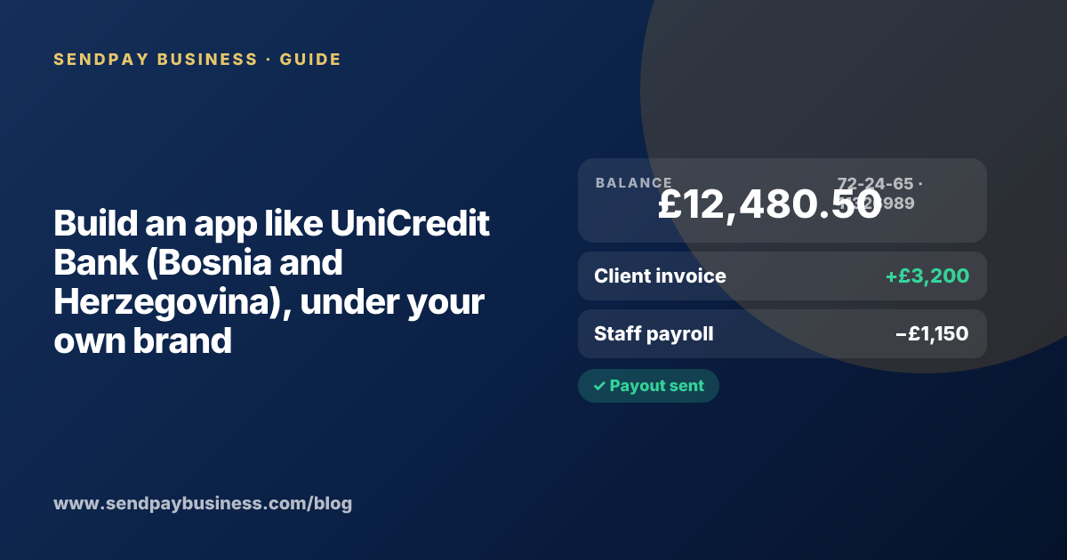 A founder planning a digital account app with a branded card like UniCredit Bank (Bosnia and Herzegovina)