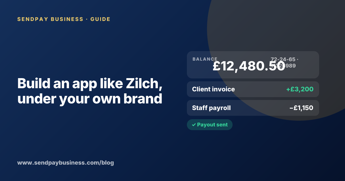A founder planning a payment platform for businesses like Zilch
