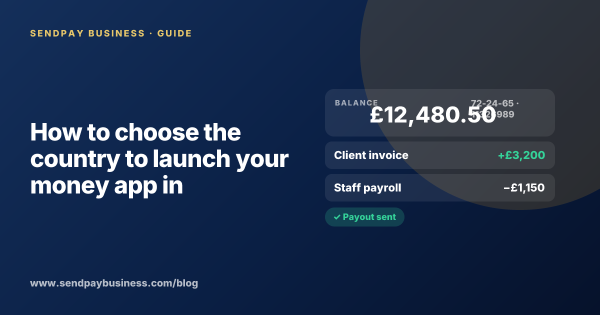 A founder planning the launch of their own money app
