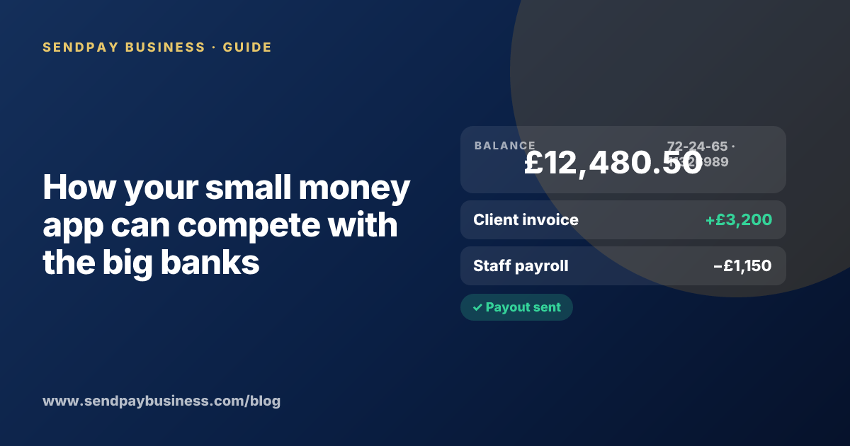 A founder planning the launch of their own money app