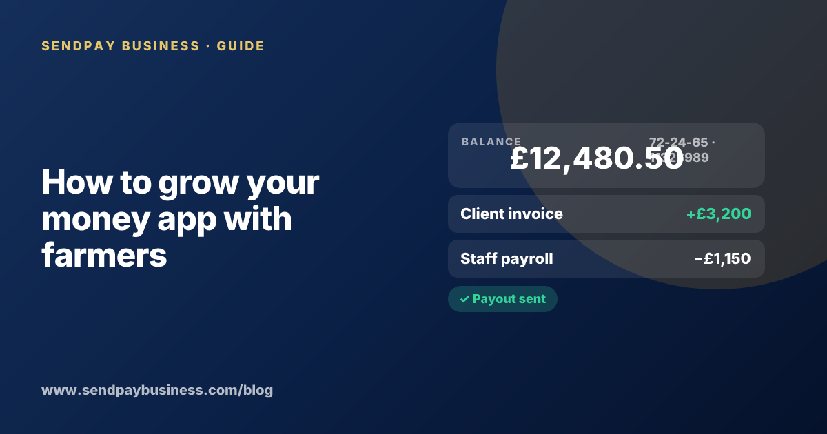 A founder planning the launch of their own money app