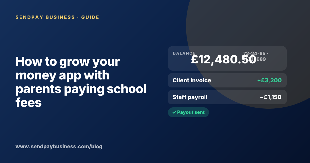 A founder planning the launch of their own money app