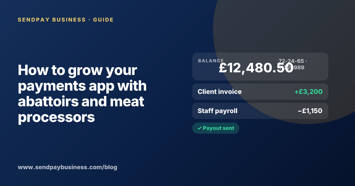 A founder planning the launch of their own money app
