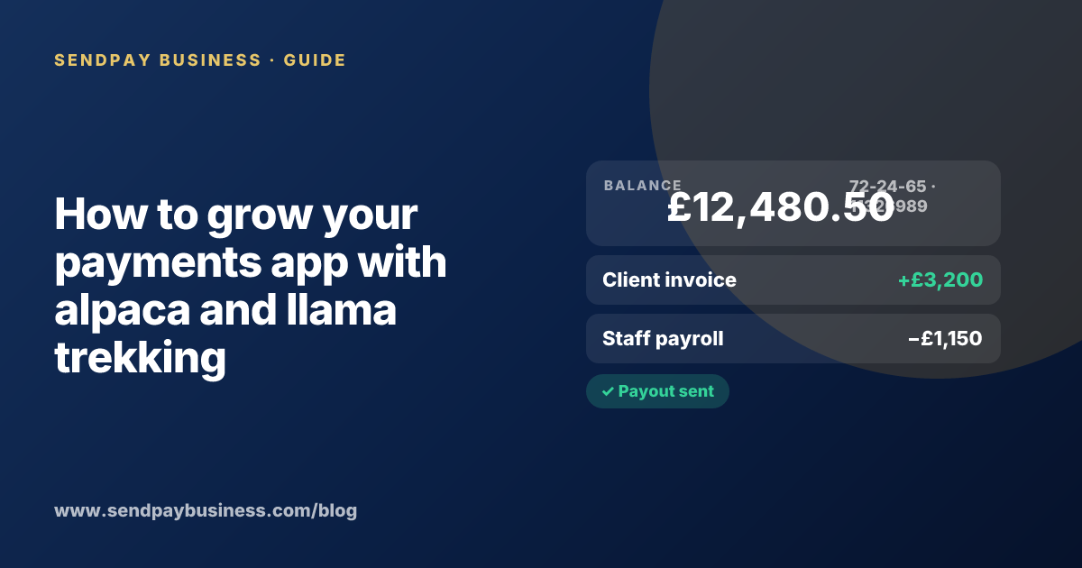A founder planning the launch of their own money app