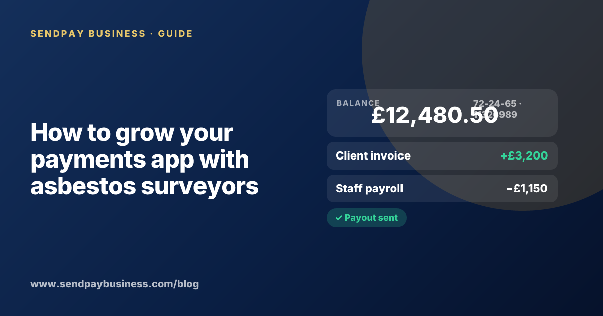 A founder planning the launch of their own money app