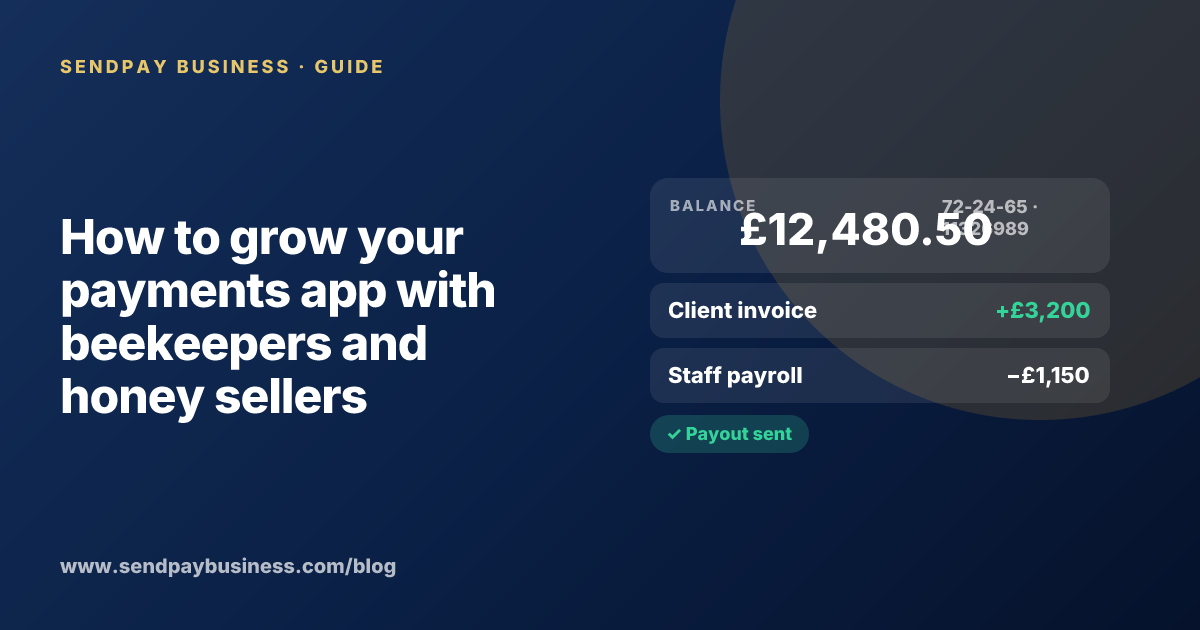 A founder planning the launch of their own money app