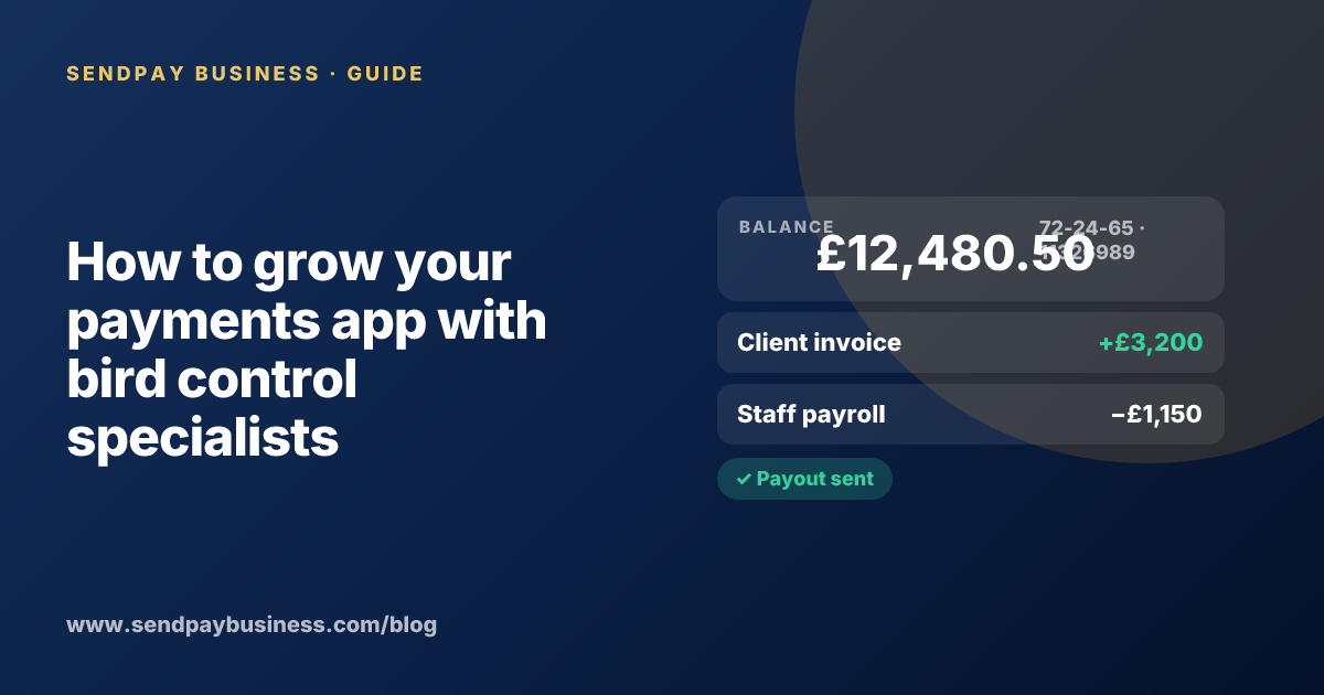 A founder planning the launch of their own money app