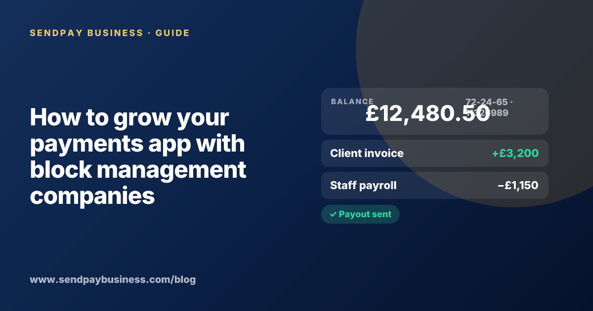 A founder planning the launch of their own money app