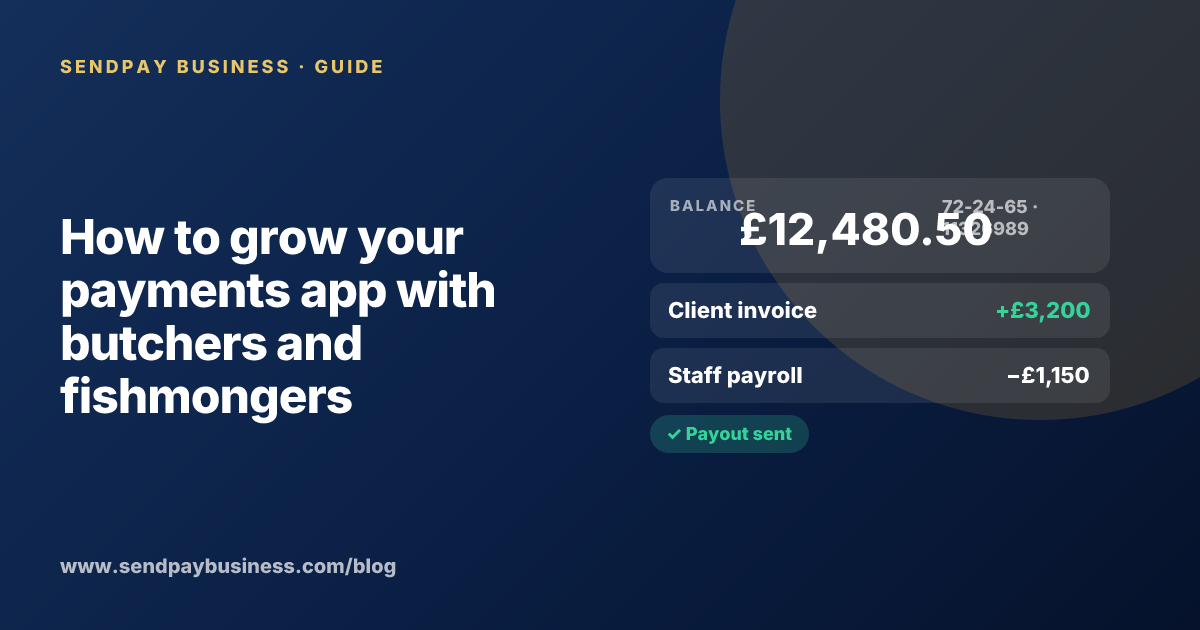 A founder planning the launch of their own money app