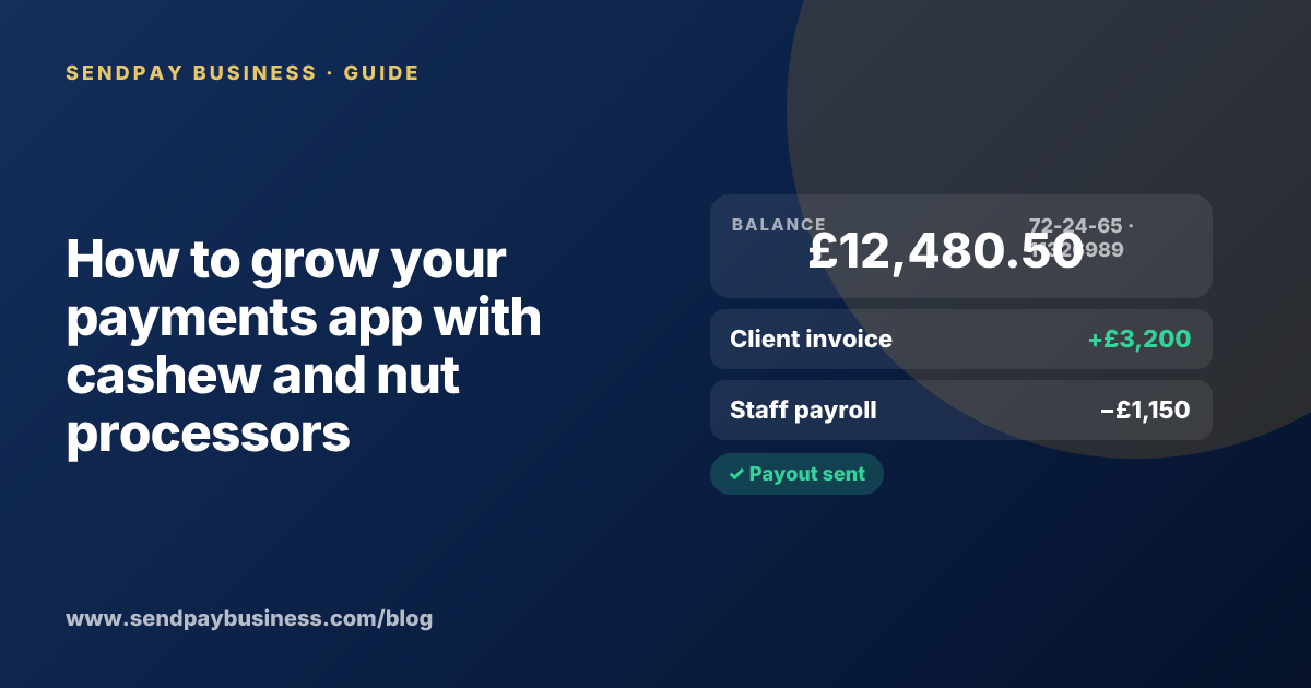 A founder planning the launch of their own money app