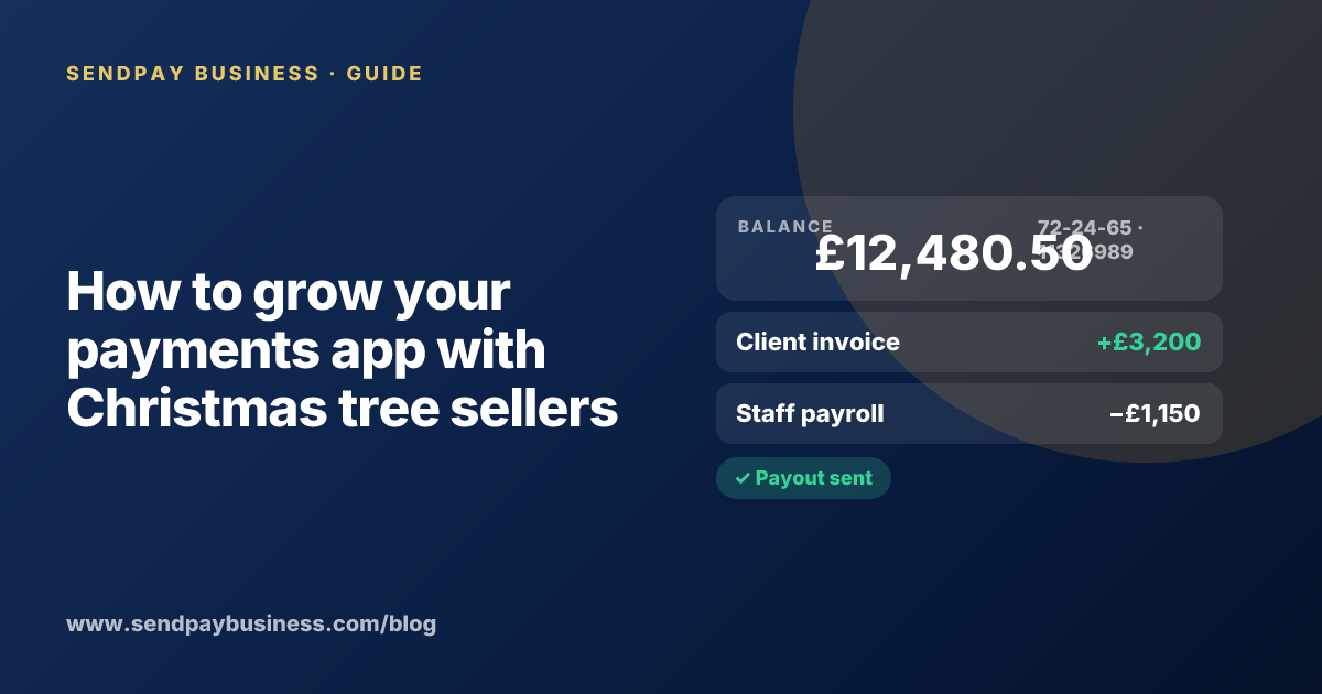 A founder planning the launch of their own money app
