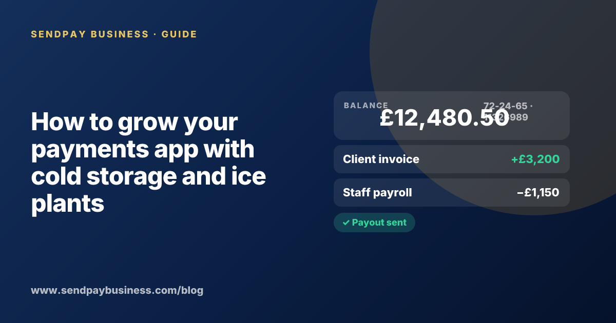 A founder planning the launch of their own money app