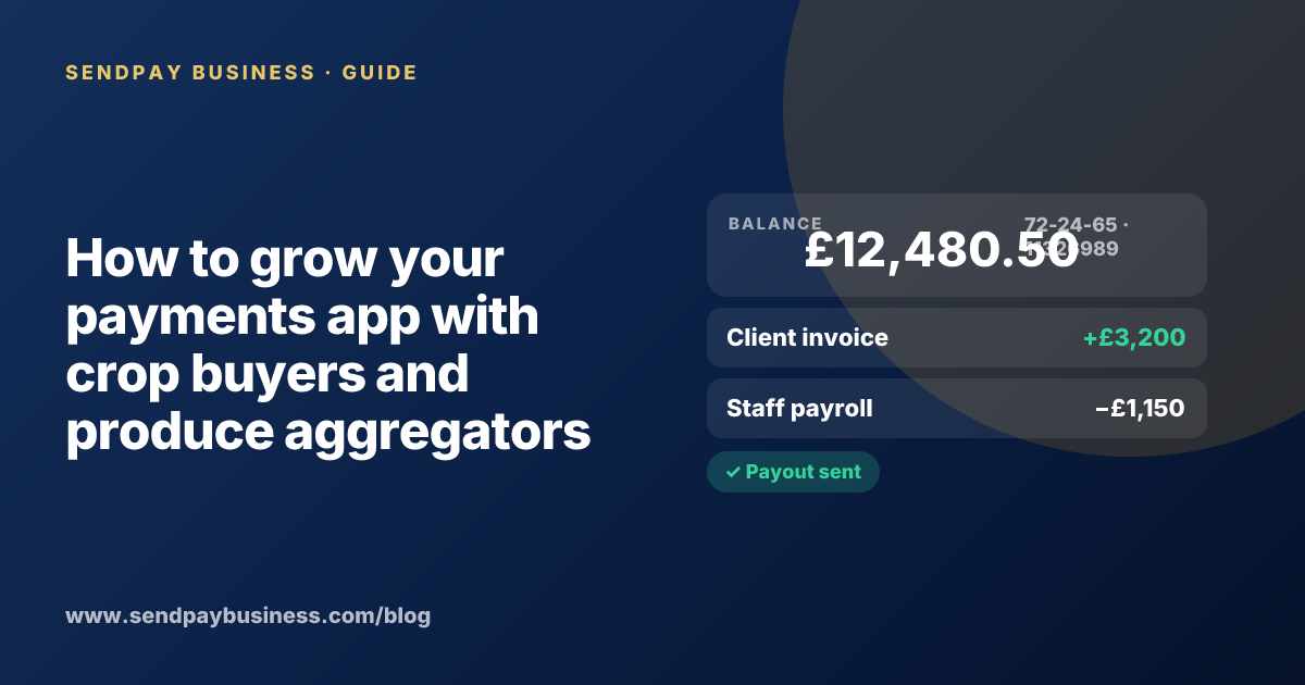 A founder planning the launch of their own money app