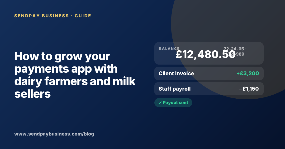 A founder planning the launch of their own money app