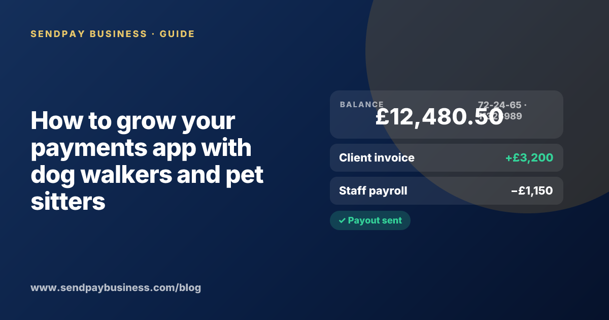 A founder planning the launch of their own money app