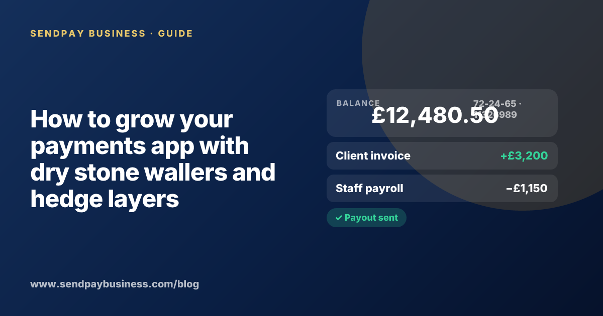 A founder planning the launch of their own money app
