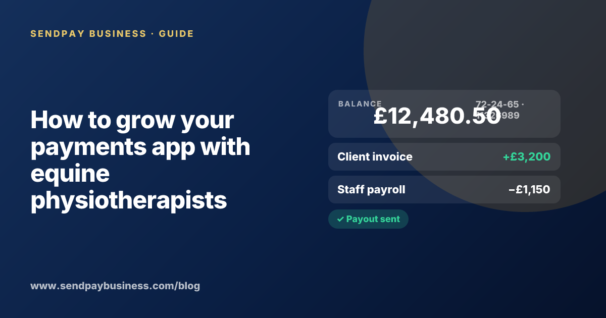 A founder planning the launch of their own money app
