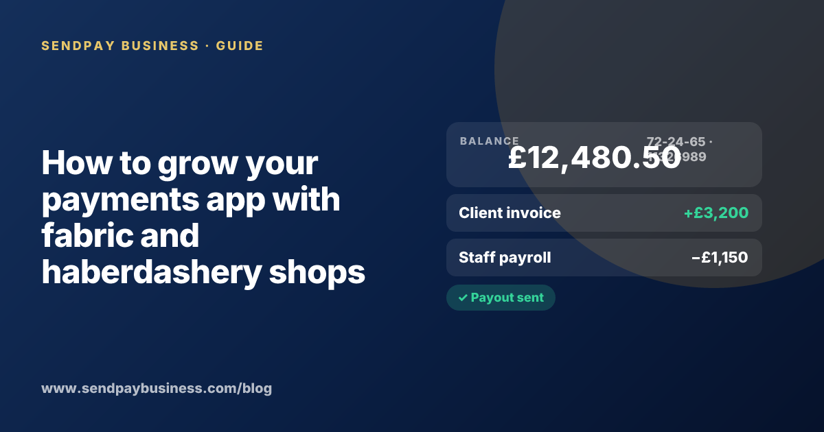 A founder planning the launch of their own money app