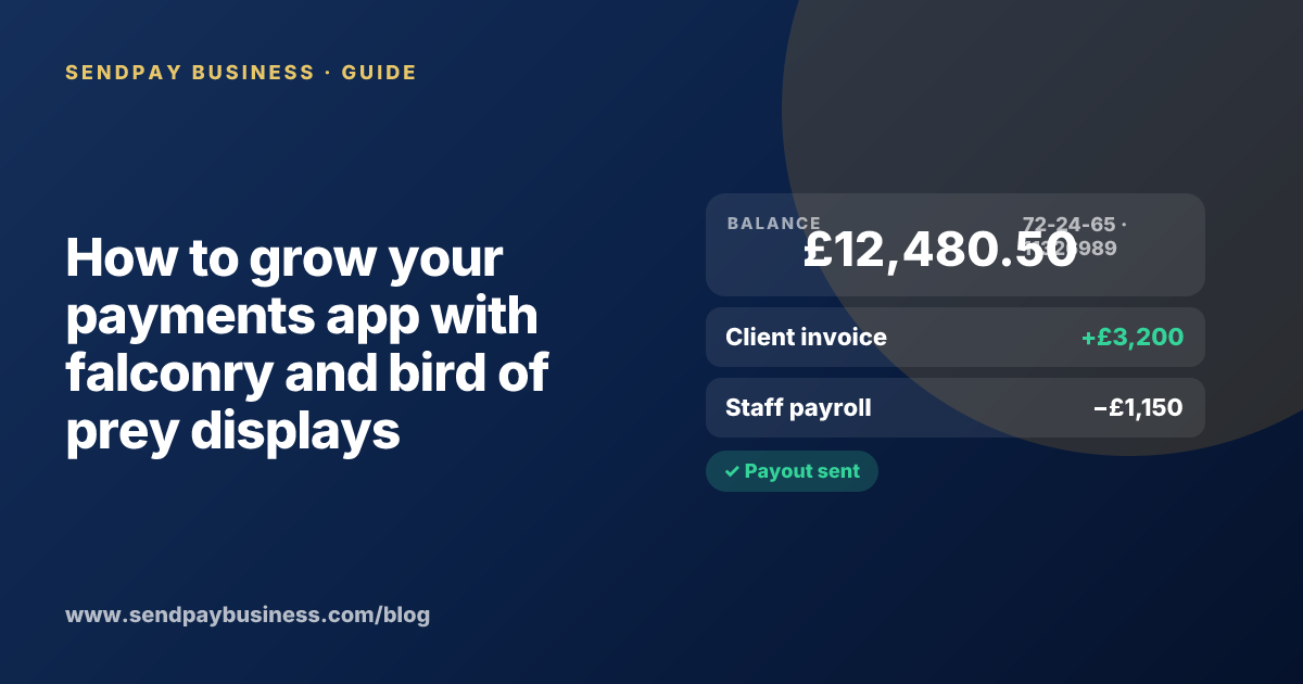 A founder planning the launch of their own money app