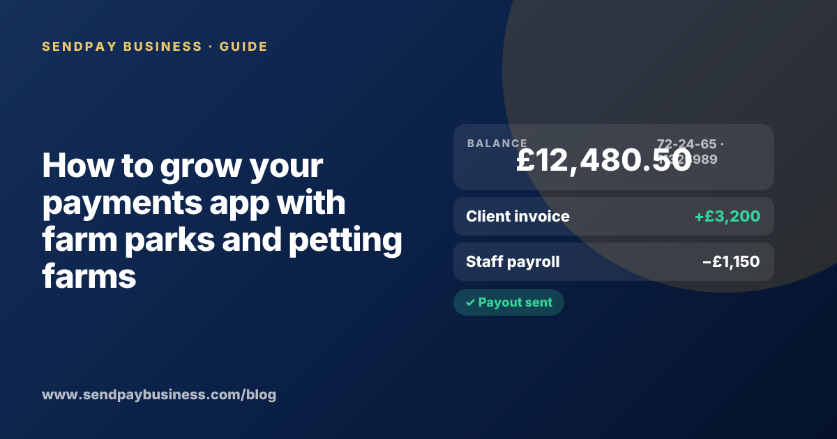 A founder planning the launch of their own money app