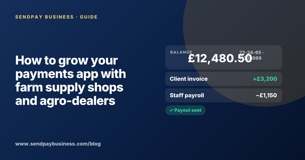 A founder planning the launch of their own money app