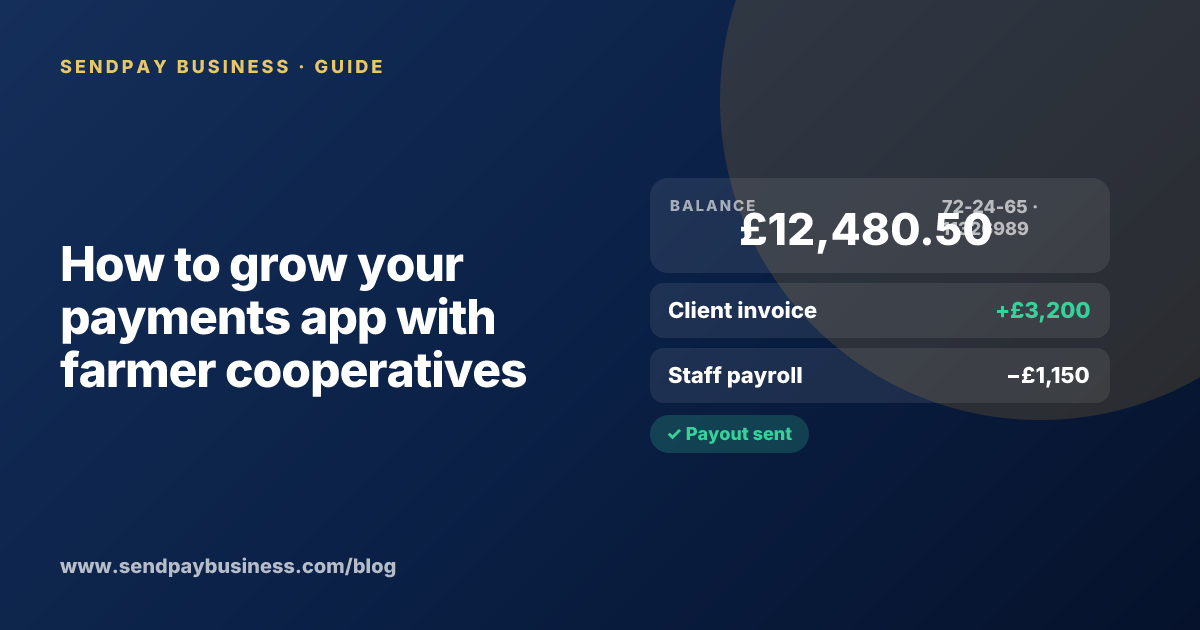 A founder planning the launch of their own money app