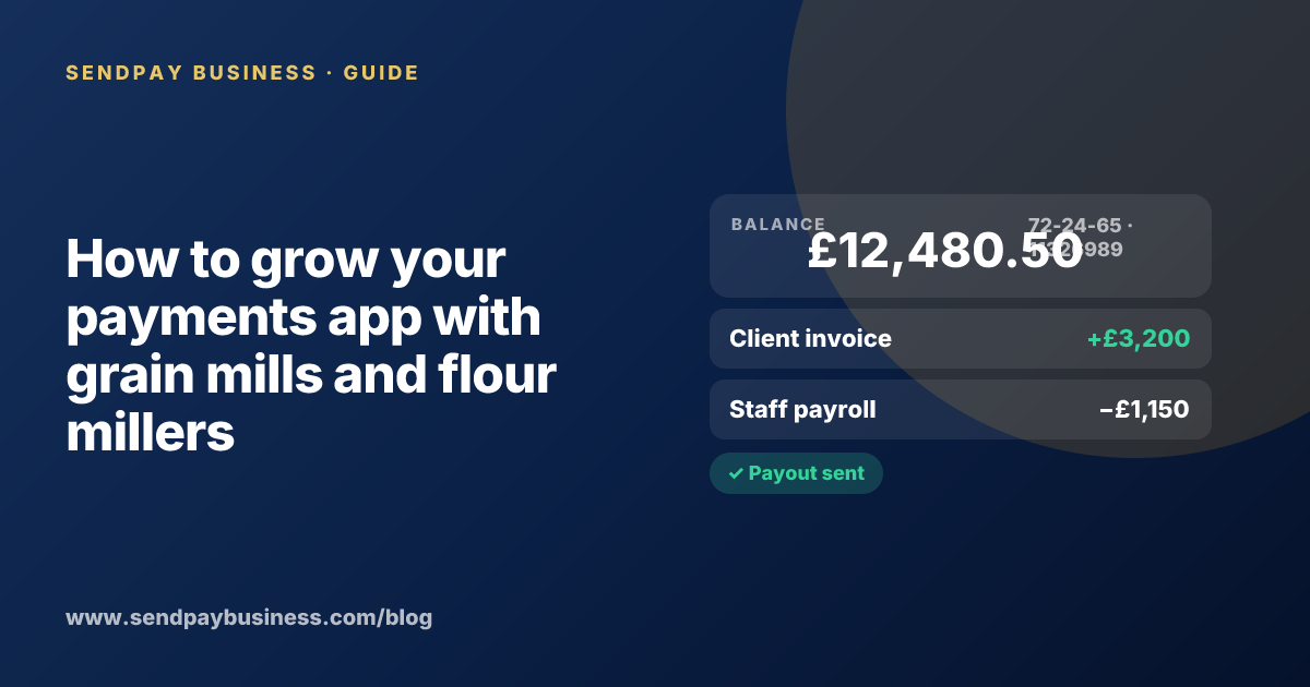 A founder planning the launch of their own money app