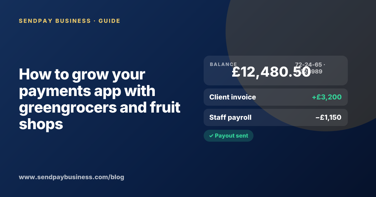A founder planning the launch of their own money app