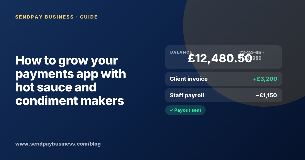 A founder planning the launch of their own money app