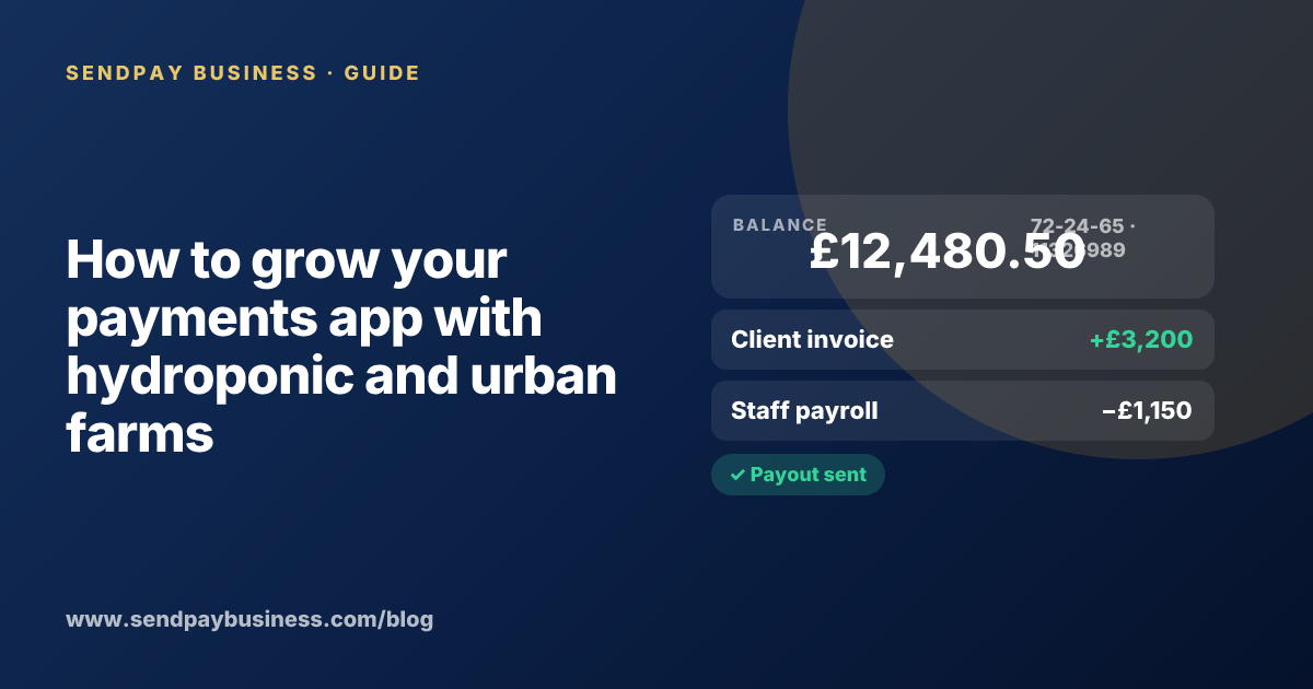 A founder planning the launch of their own money app