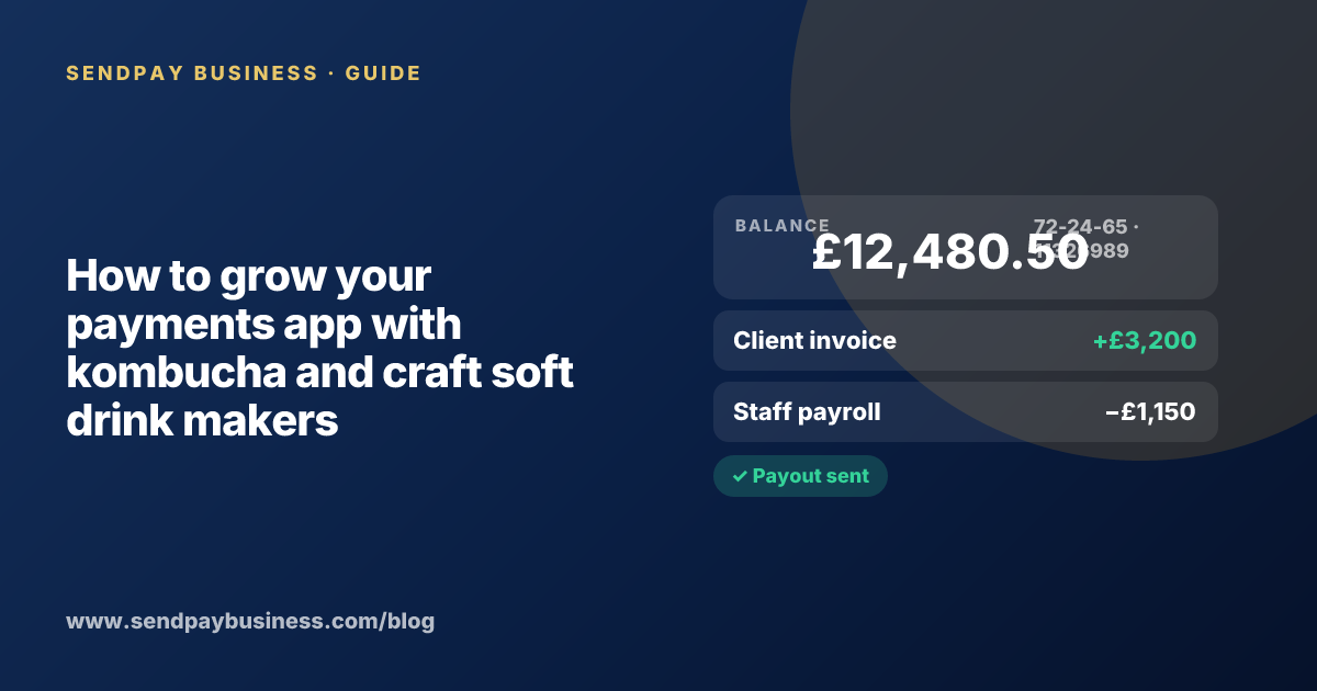 A founder planning the launch of their own money app