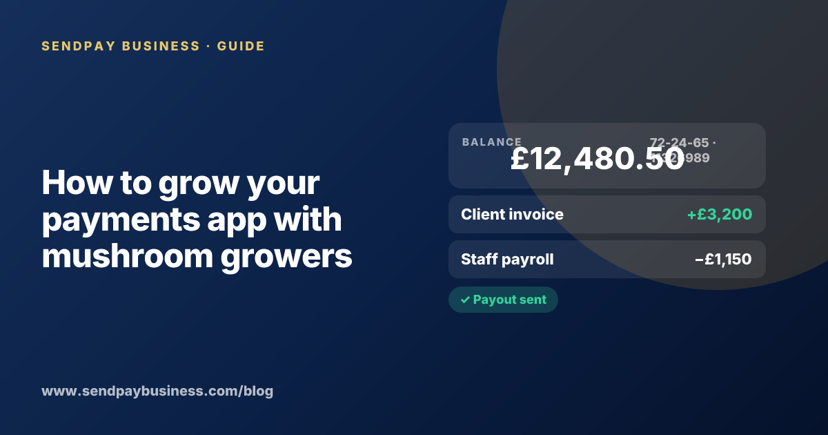 A founder planning the launch of their own money app