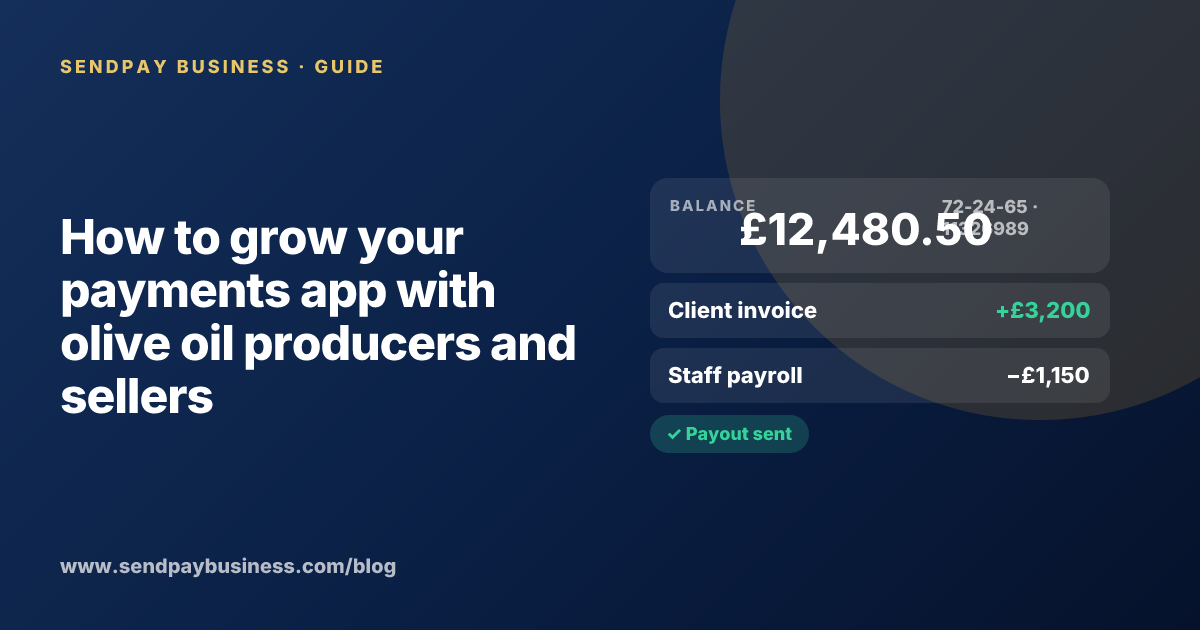 A founder planning the launch of their own money app